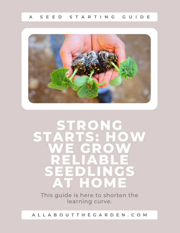 Strong Starts