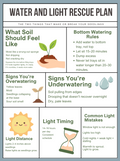 Water & Light Rescue Plan (Zone 8/9 Printable Guide)