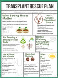 Transplant Rescue Plan (Zone 8/9 Printable Guide)