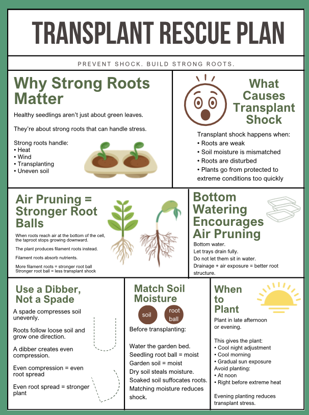 Transplant Rescue Plan (Zone 8/9 Printable Guide)