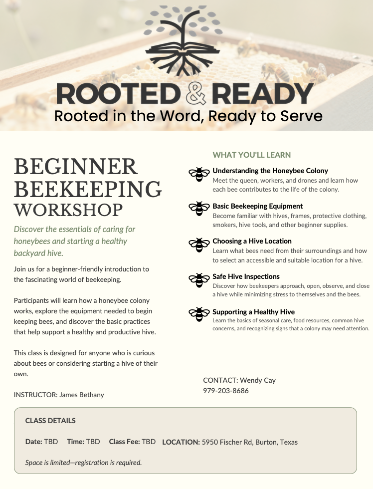 Beginner Bee Keeping